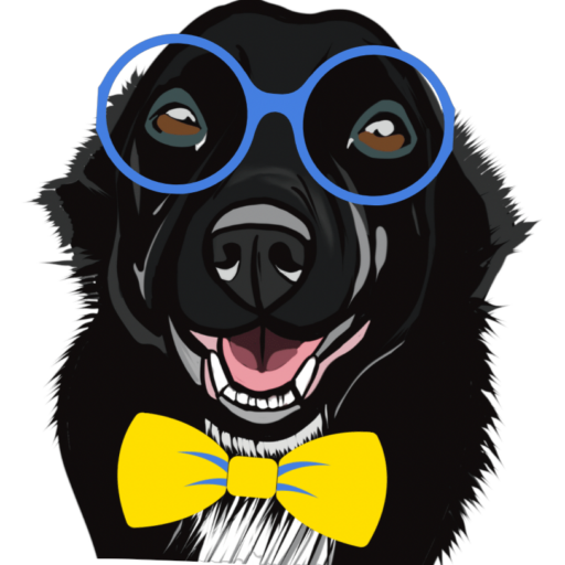 Little Einsteins SA Favicon